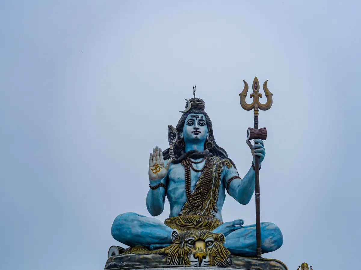 Kashi Vishwanath Temple Area Guide