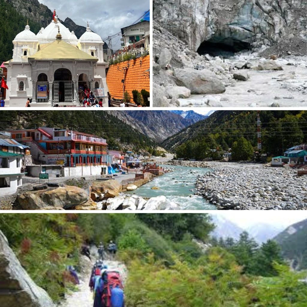 Gangotri to Gaumukh Trek Guide